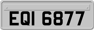 EQI6877