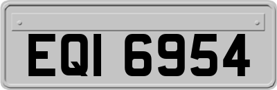 EQI6954