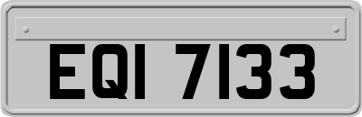 EQI7133
