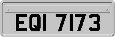 EQI7173
