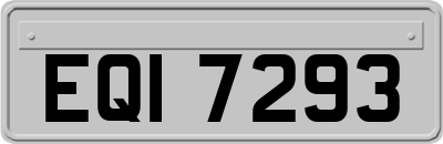 EQI7293