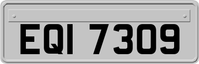 EQI7309