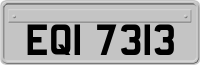EQI7313
