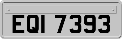 EQI7393