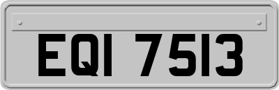 EQI7513