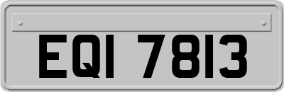 EQI7813