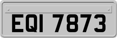 EQI7873