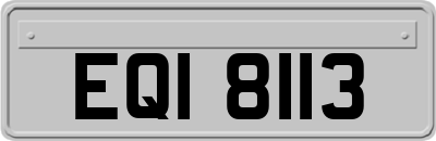 EQI8113