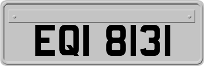 EQI8131