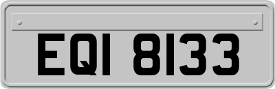 EQI8133