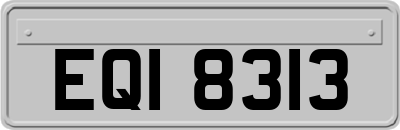 EQI8313