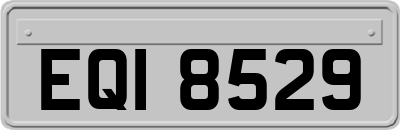 EQI8529