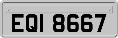 EQI8667
