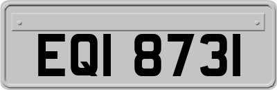 EQI8731