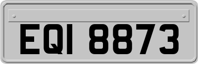EQI8873