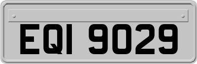 EQI9029
