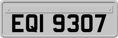 EQI9307