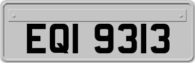 EQI9313