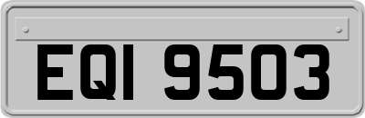 EQI9503