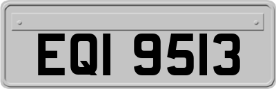 EQI9513