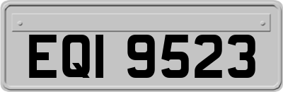 EQI9523