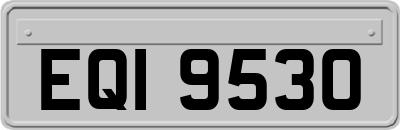 EQI9530