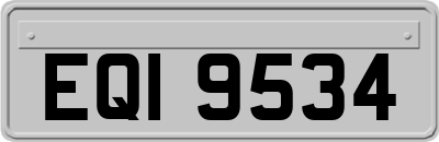 EQI9534