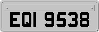 EQI9538