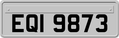 EQI9873