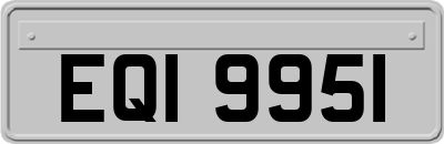 EQI9951