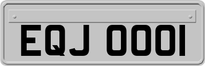 EQJ0001