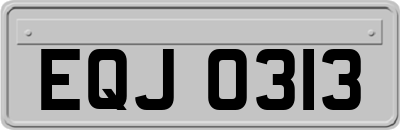 EQJ0313