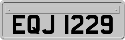EQJ1229