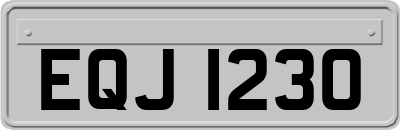 EQJ1230