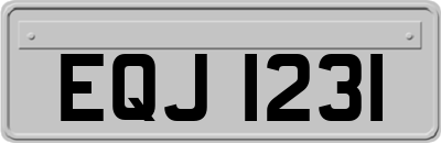 EQJ1231