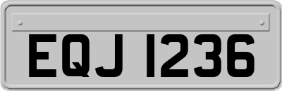 EQJ1236