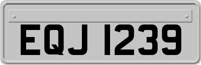 EQJ1239