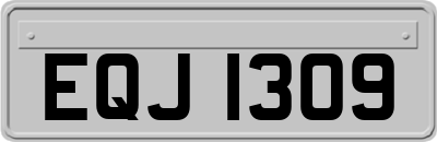 EQJ1309