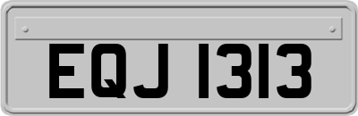 EQJ1313
