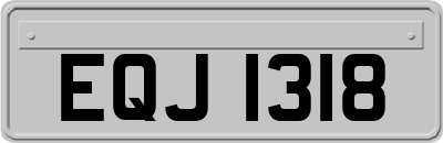 EQJ1318