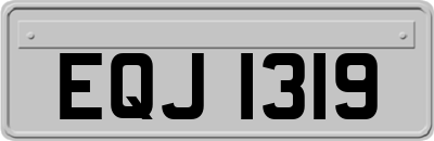 EQJ1319