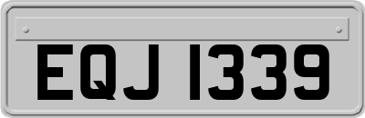EQJ1339