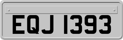EQJ1393