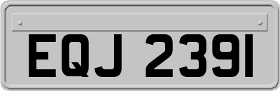 EQJ2391