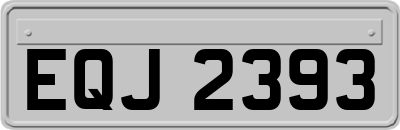 EQJ2393