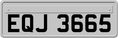 EQJ3665