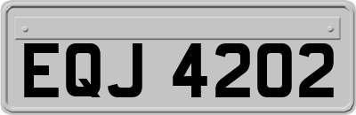 EQJ4202