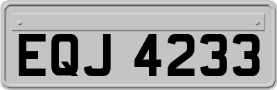 EQJ4233