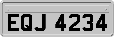 EQJ4234