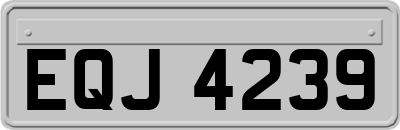EQJ4239